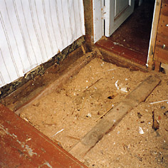 Ompeliantalon milj&ouml;&ouml;t&auml; 1996